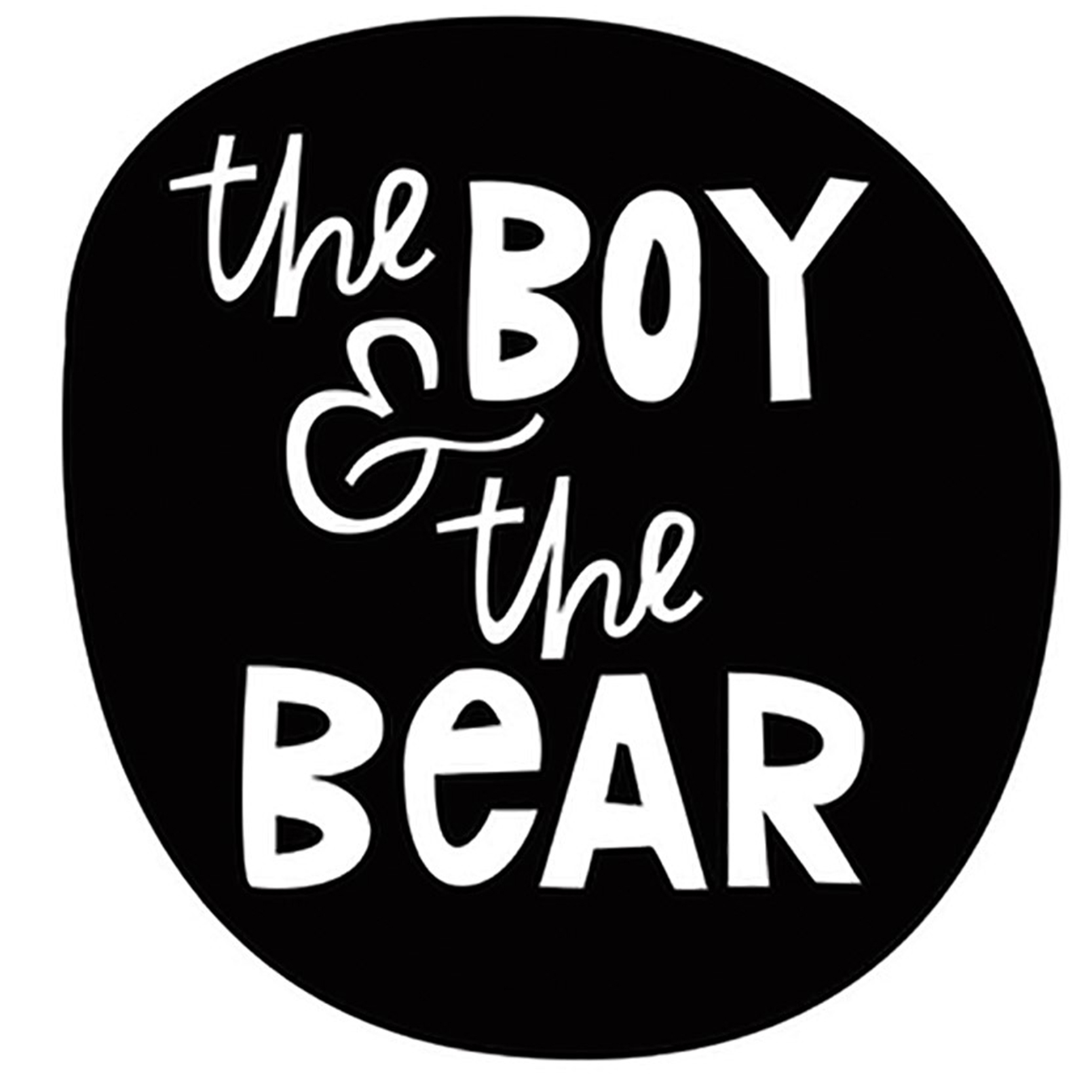 The Boy And The Bear